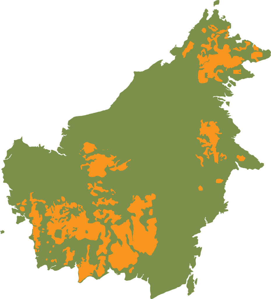 Vooral het leefgebied van de Centraal-Borneose orang-oetan (Pongo p. wurmbii) in het zuidwesten van Borneo is sterk versnipperd | WNF, 2004