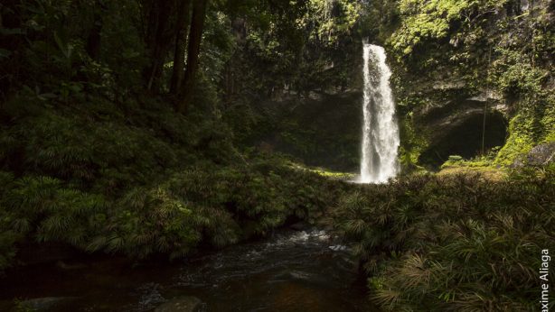 Waterval in Batang Toru | © Maxime Aliaga