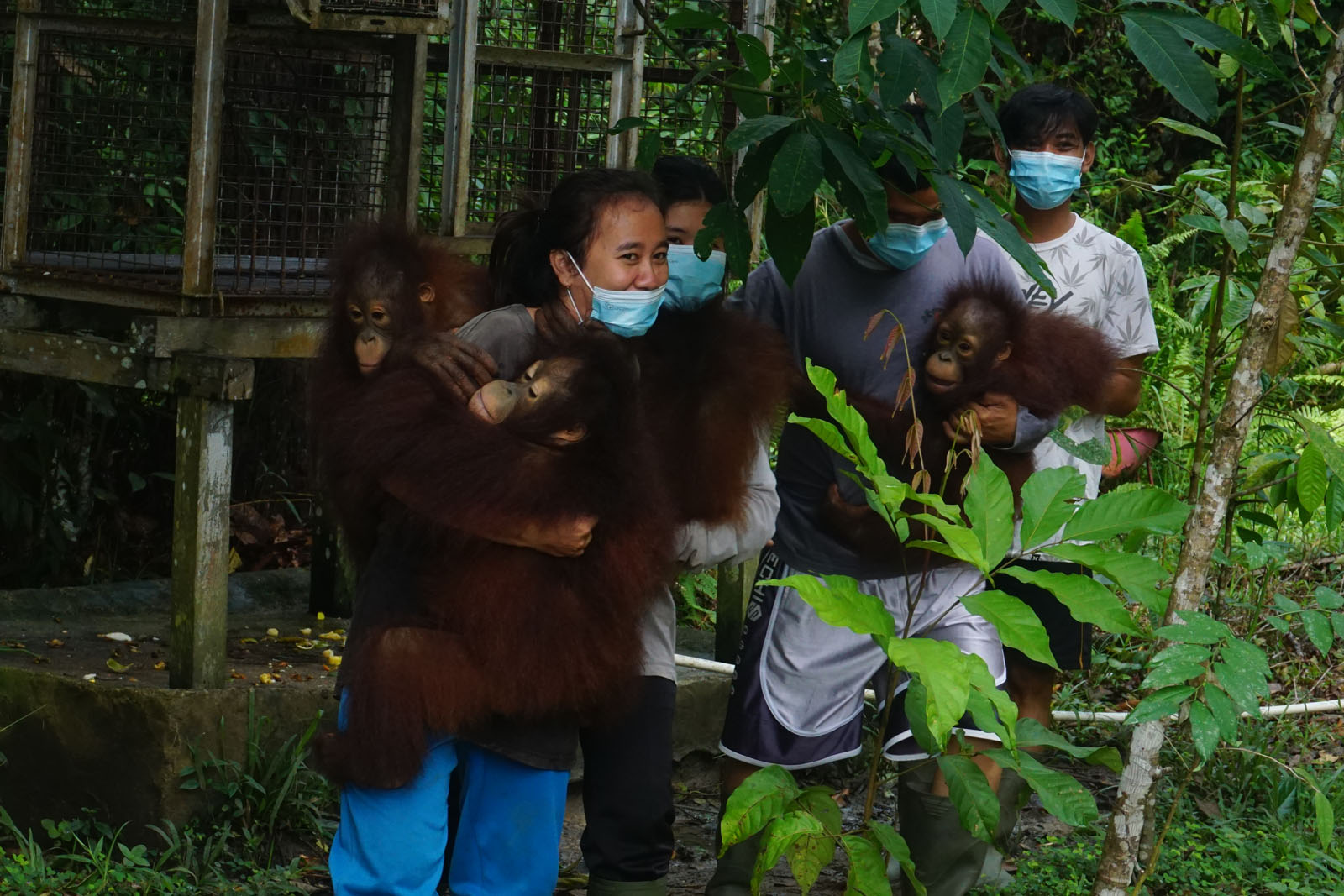 De baby's worden opgehaald uit het opvangcentrum in Sintang | © SOC