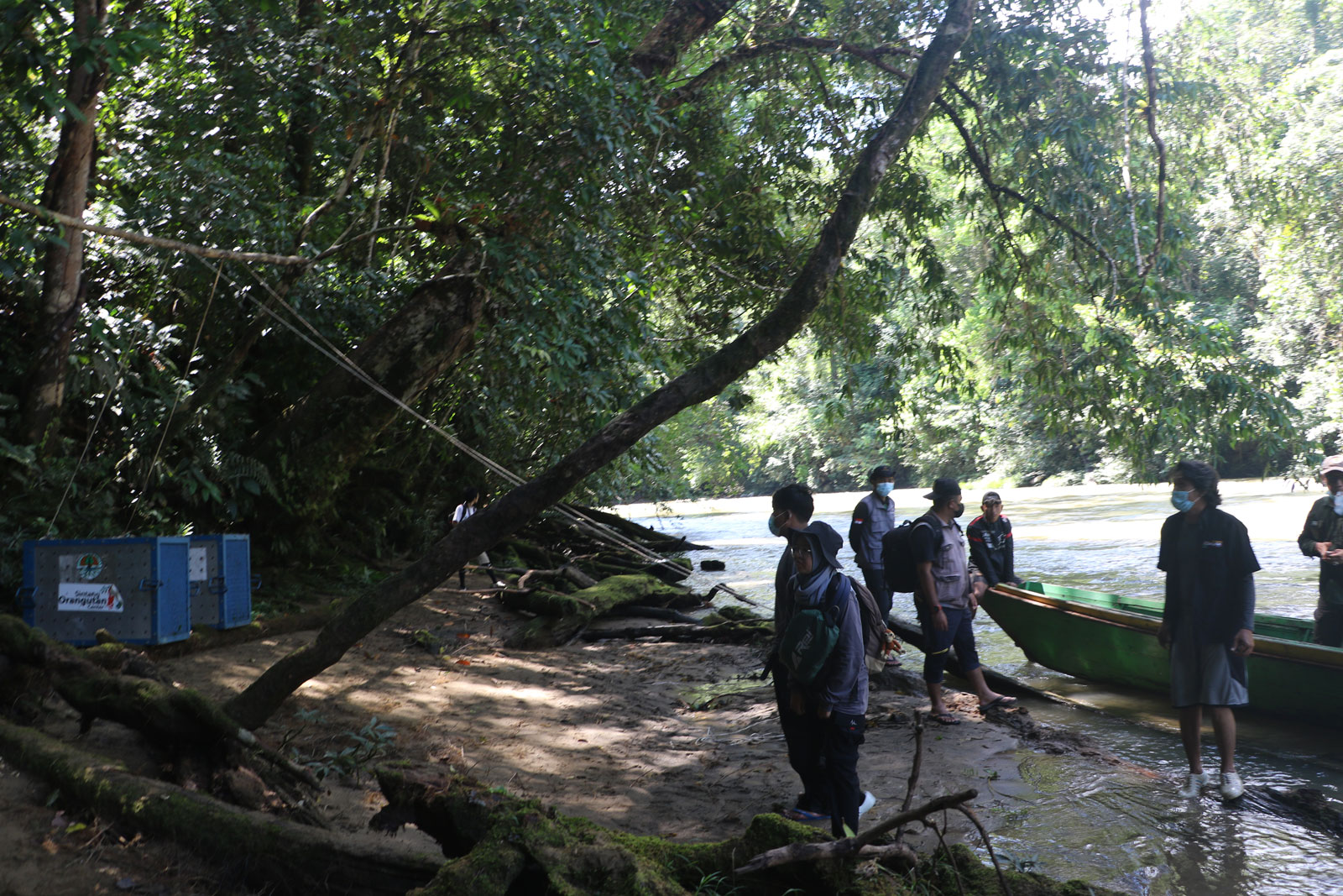 Medewerkers van het SOC en links de transportkooien met Amory en Hope. Met de touwen kunnen de medewerkers vanaf het water de kooien openen. | Foto: SOC
