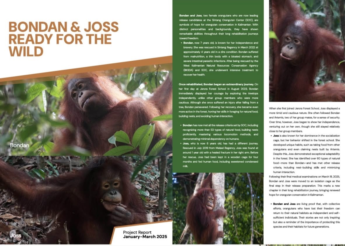 Featured image for “Bondan en Joss ready for the wild”