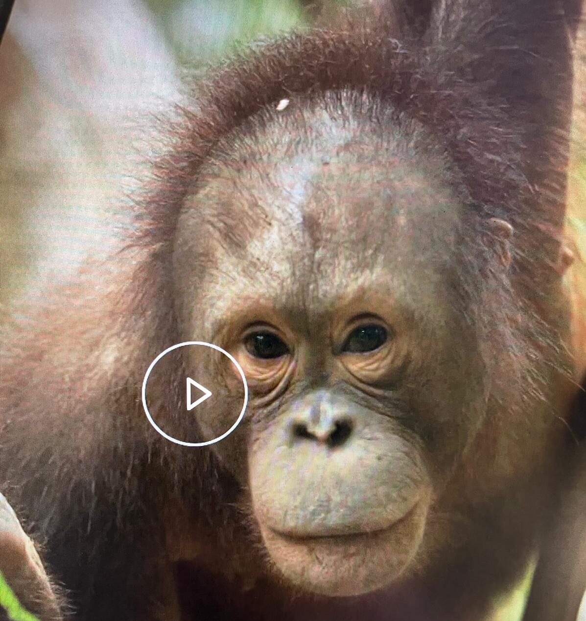 Featured image for “Opstartpromo “Gelukkig hebben we de foto’s nog”.”