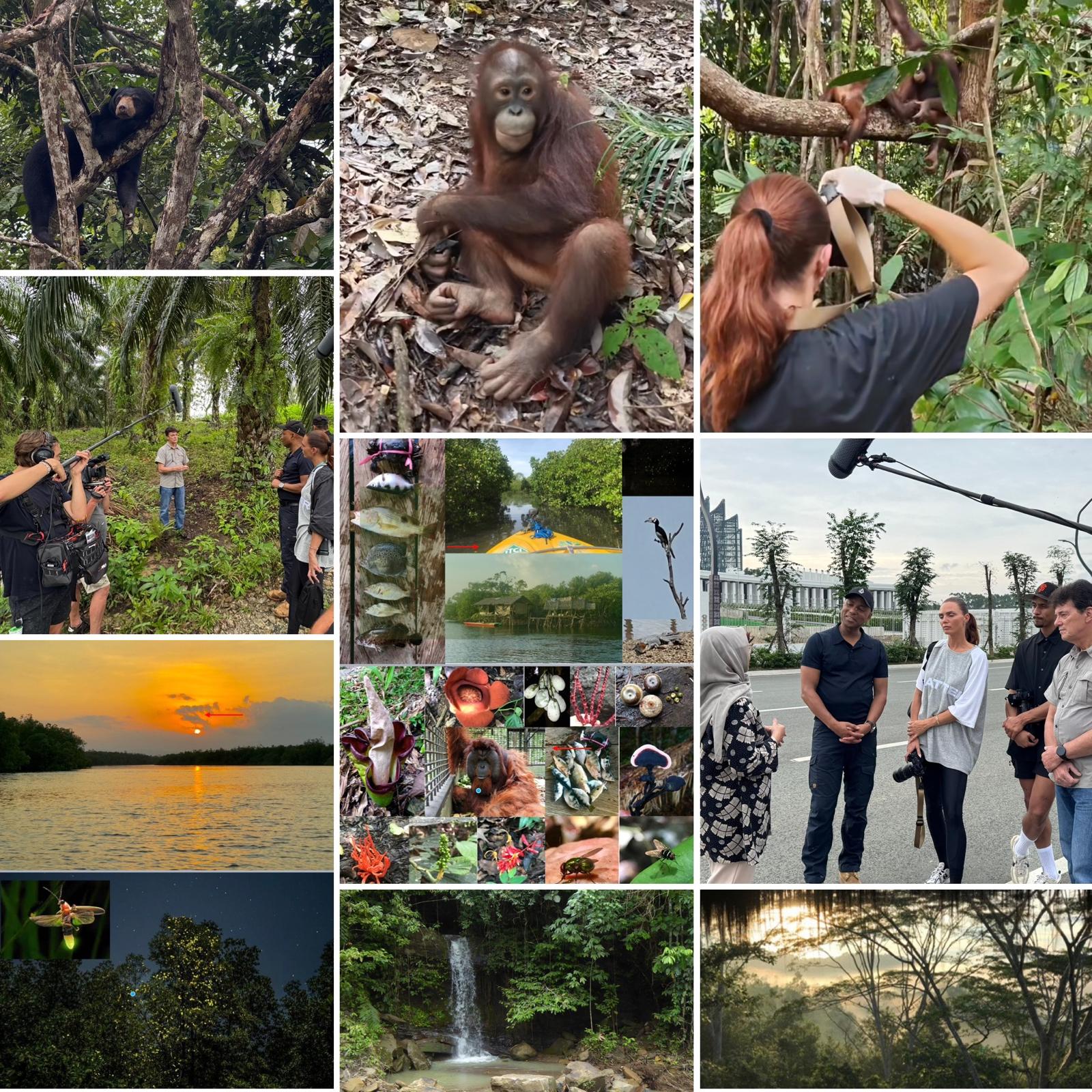 Featured image for “22 december 2025 20.30 uur tv uitzending “Gelukkig hebben we de foto’s nog””