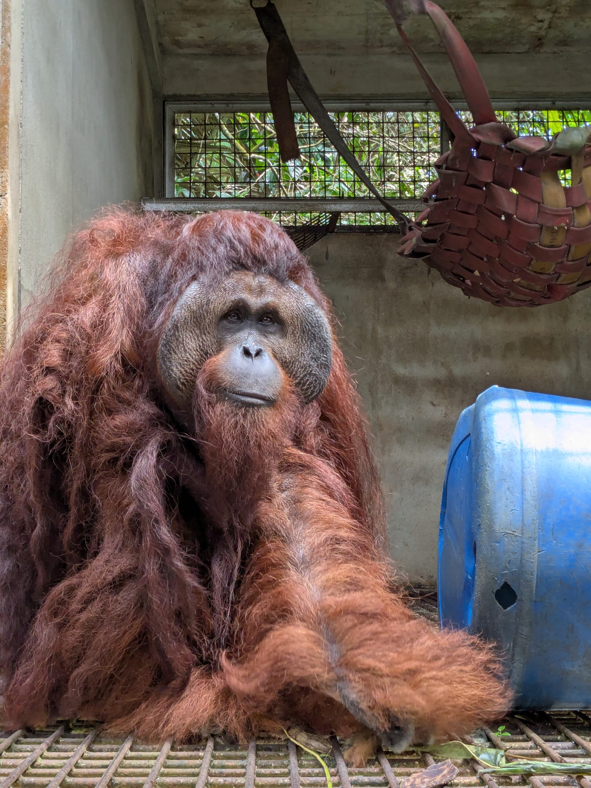 Featured image for “Update Mamat september 2025”