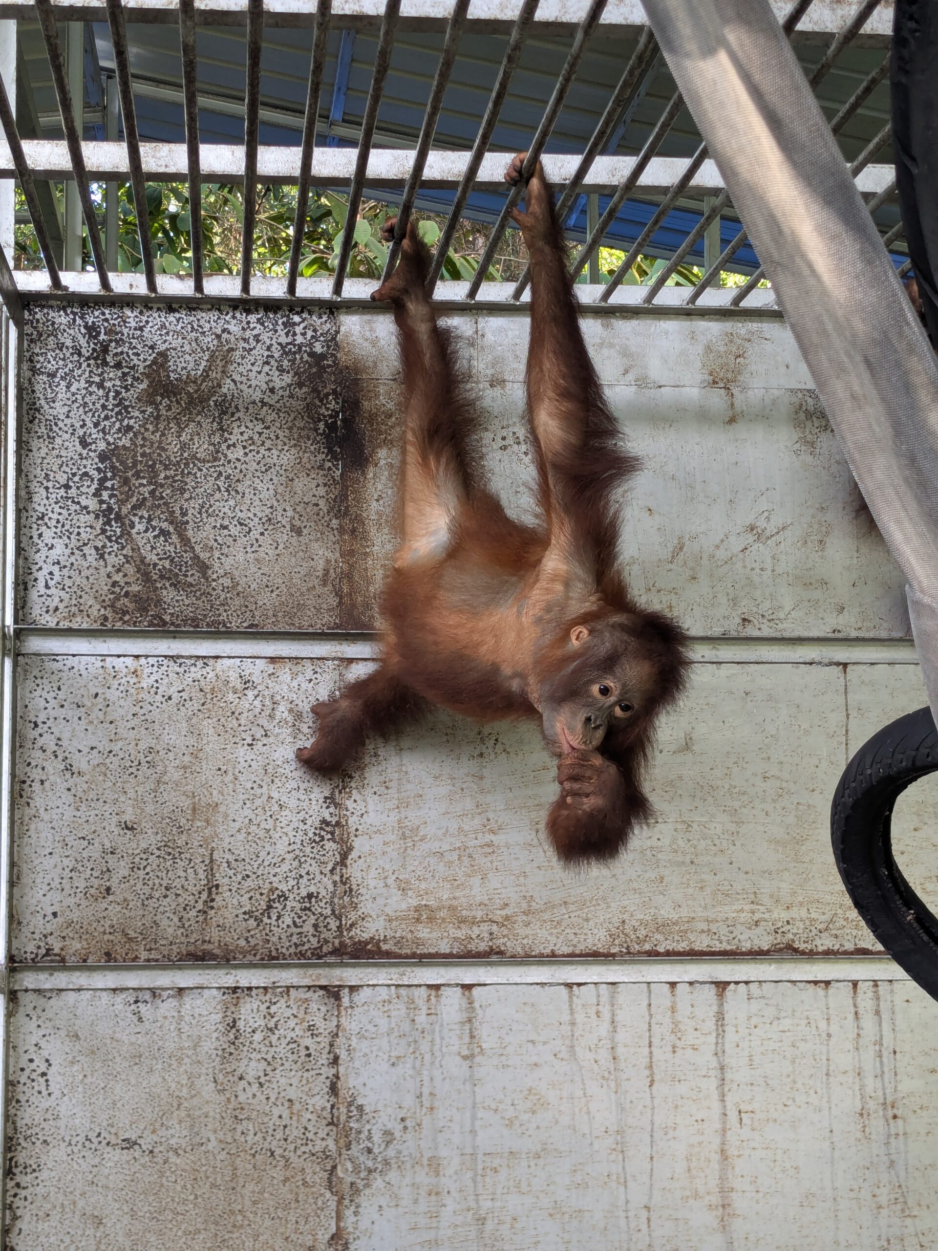 Featured image for “Update Redi oktober 2025”