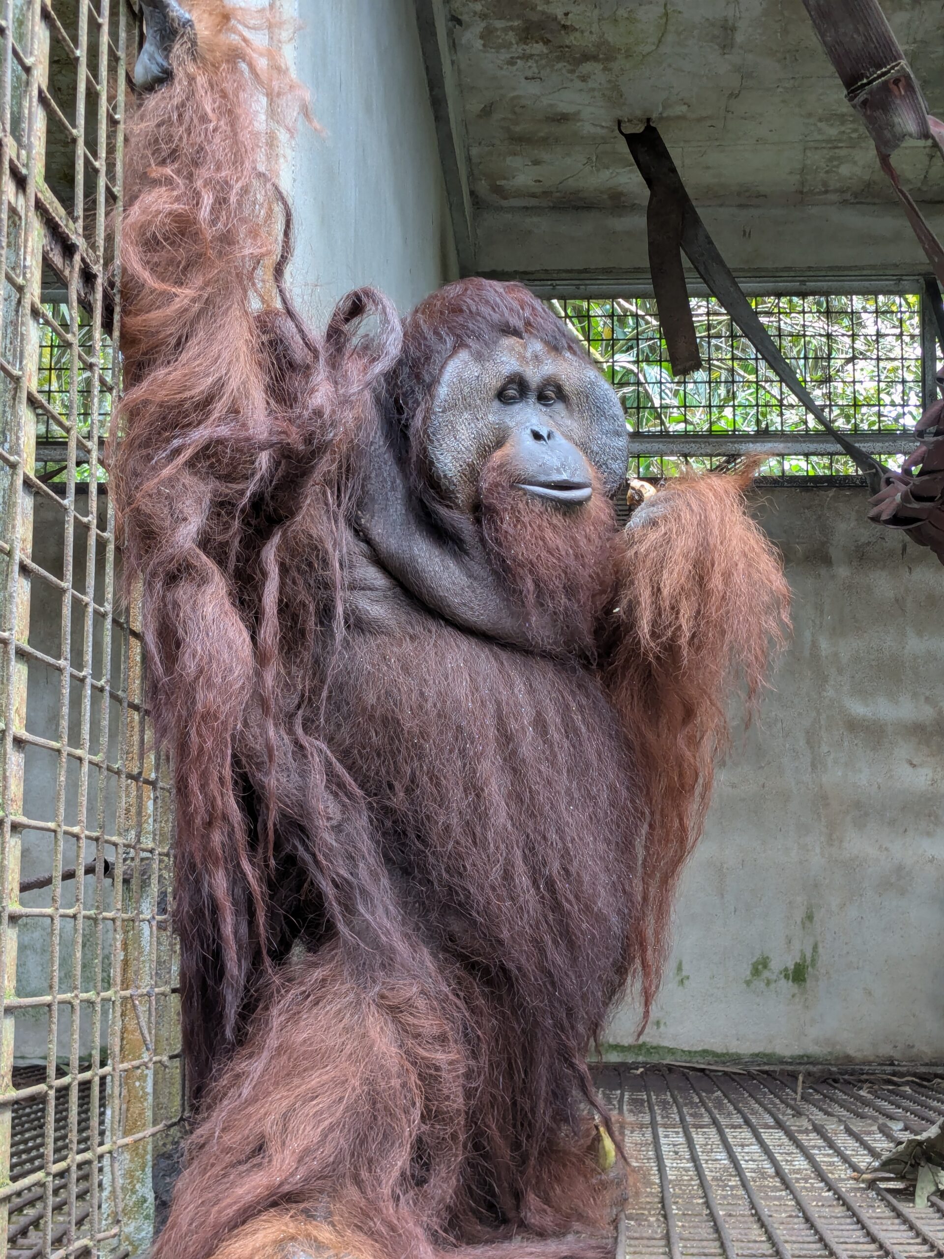 Featured image for “Update Mamat oktober 2025”