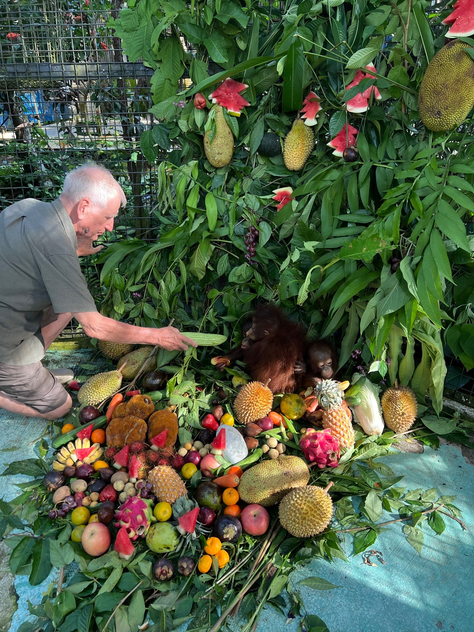 Featured image for “Gastblog Willie Smits: Durian season!”