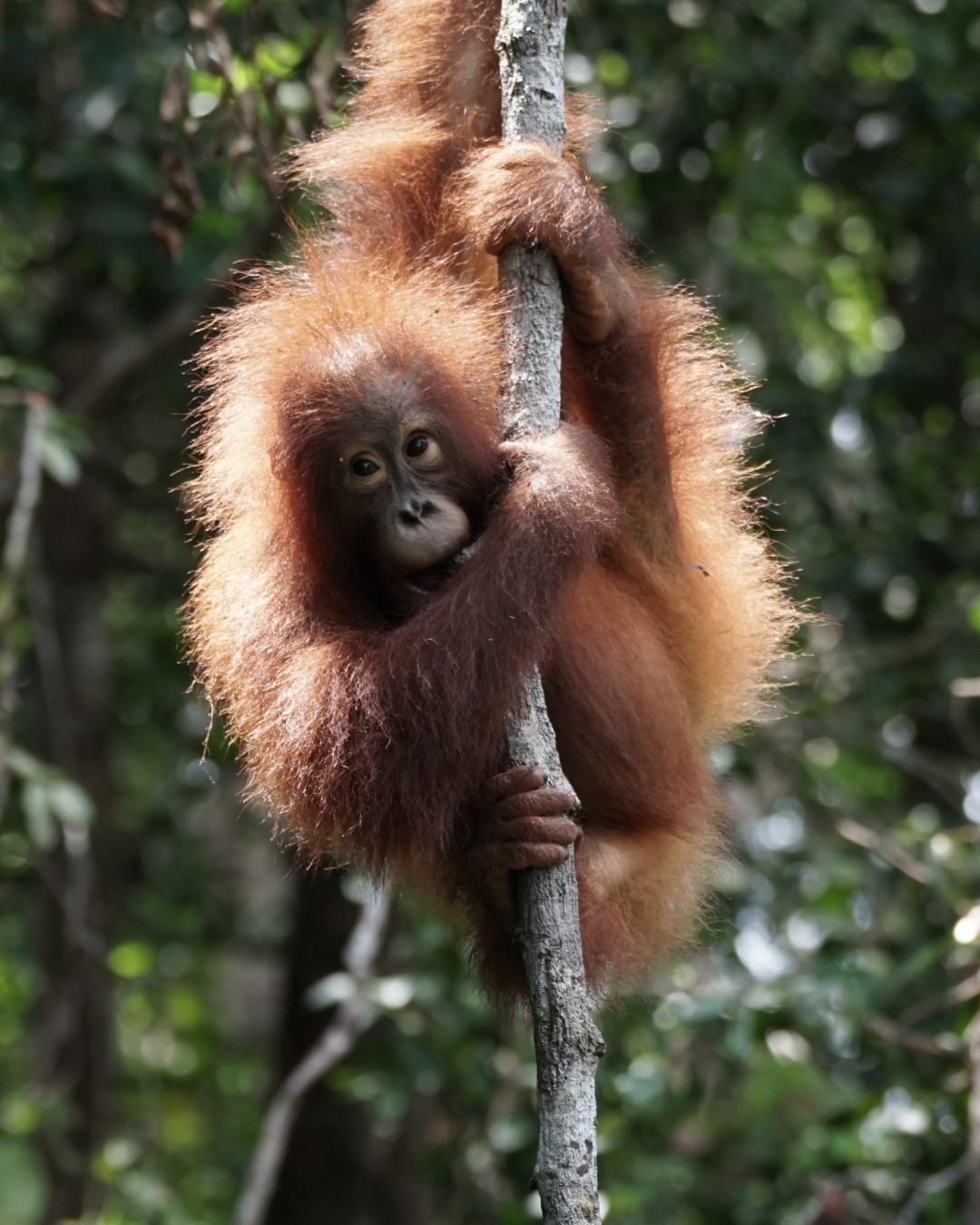 Featured image for “Heel blij 😍 met deze nominatie en grote donatie van Loveli 💚”