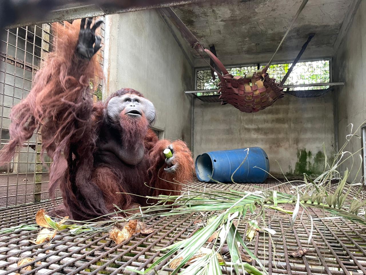 Featured image for “Update Mamat november 2025”