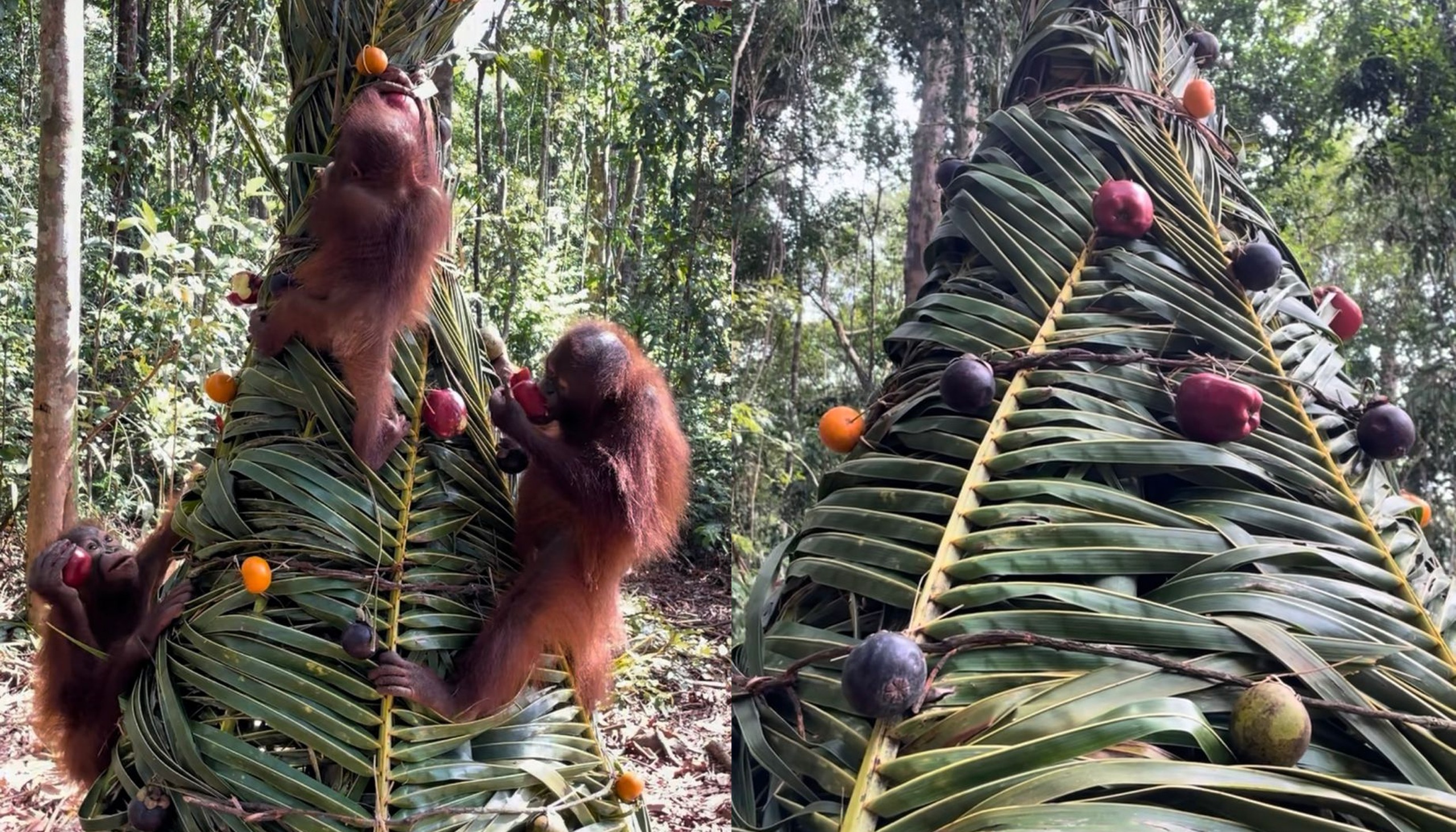 Featured image for “2025 Q4 SOC Project Report”