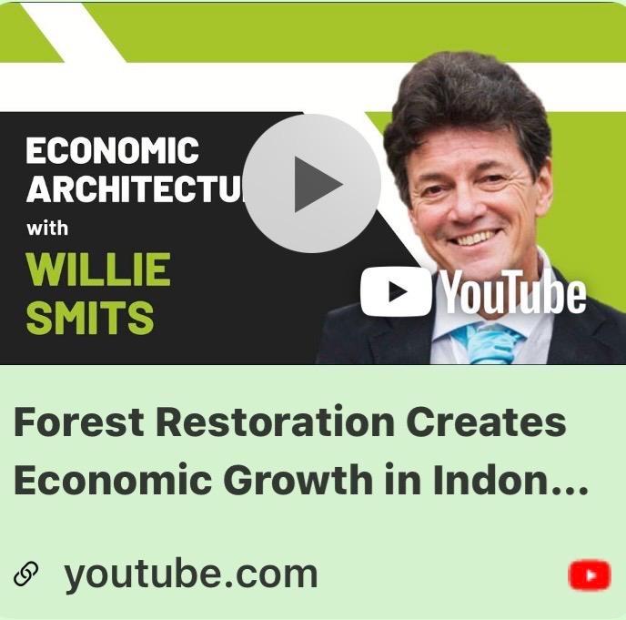 Featured image for “Van een reddingsactie voor één orang-oetan naar het herstellen van een compleet ecosysteem.”