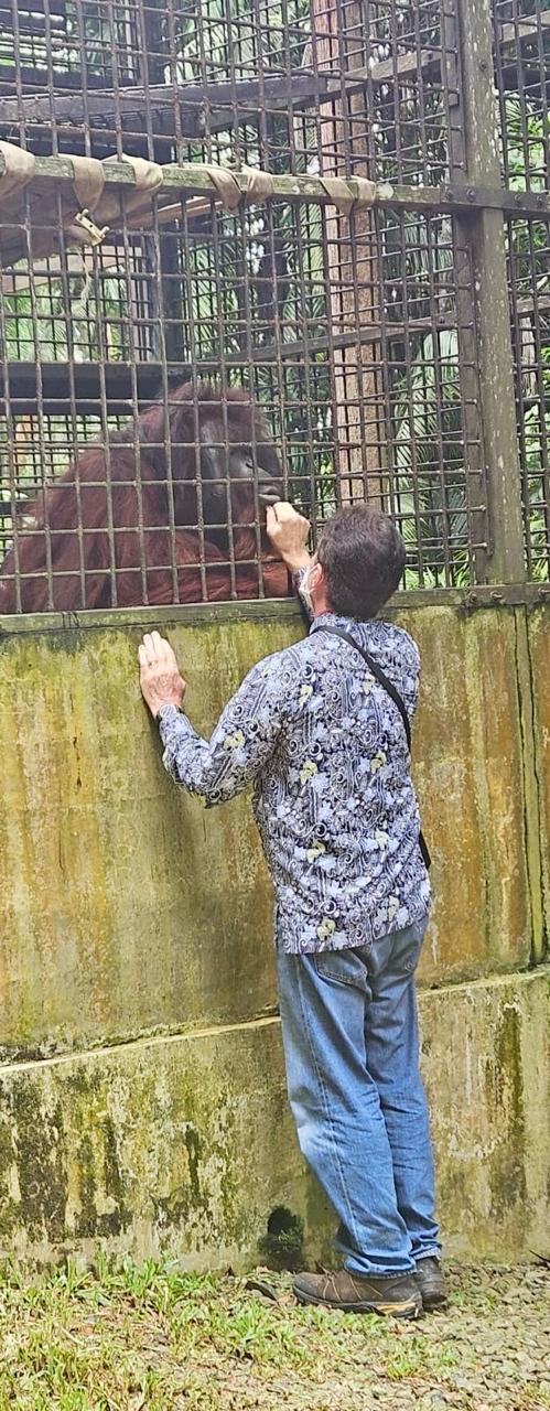 Even Bento gedag zeggen.