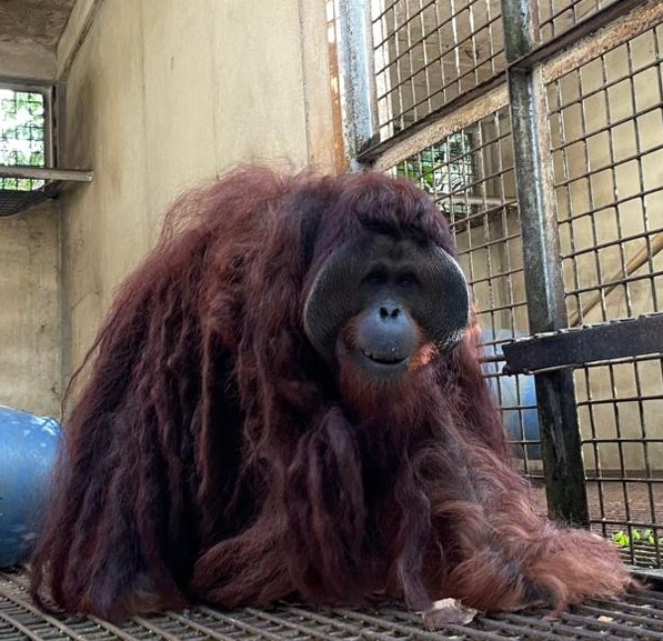 Featured image for “Update Mamat maart 2026”