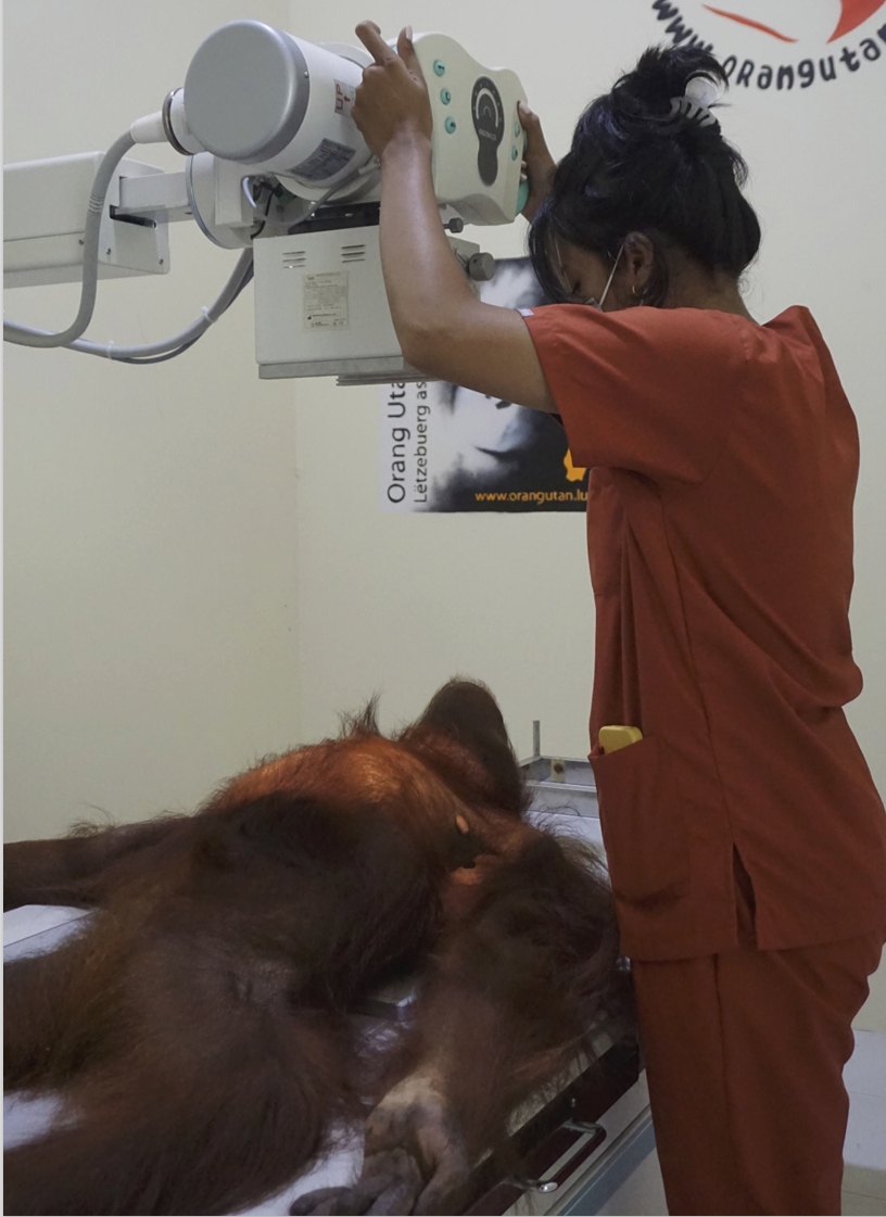 Featured image for “2026 Q1 SOC Project Report”